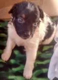 Lupita