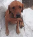 Billy