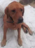 Billy