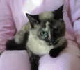 Ceres