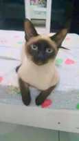 lUCKY