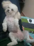 Nina