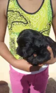 bebes mix