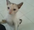 Valentina