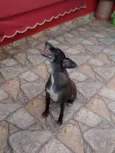 Bob