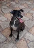 Bob