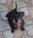 Bob