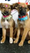 Sophia e Laura