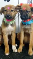Sophia e Laura