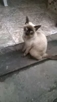 Quiara