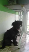 pretinha
