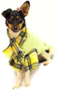 Lindos Cães, Filhot