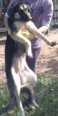 Preta