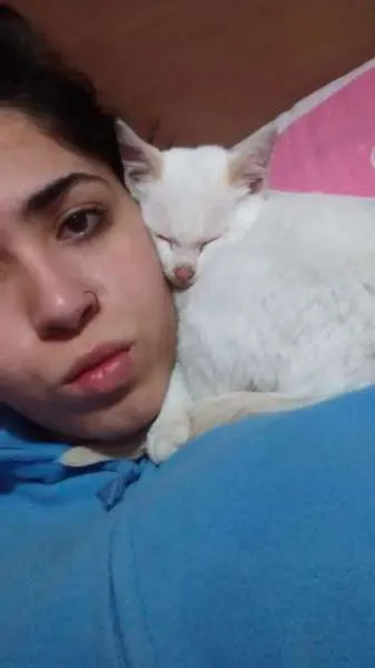 Gato ra a Não sei idade 2 a 6 meses nome Ainda não tem