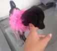 Não coloquei nome