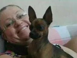 Cachorro ra a Pinscher  idade 2 anos nome Pepa