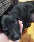 Fiona