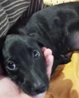 Fiona