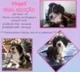 Magali
