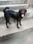 Vitoria