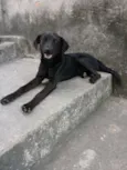 Vitoria