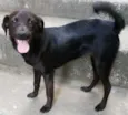 Vitoria