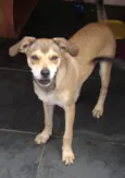 Tonya