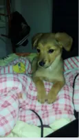 Lola