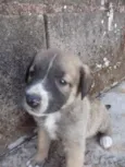 ainda não tem nome 