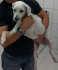 Ramses e Nefertari