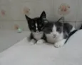 Uller & Minerva