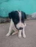 Não coloquei nomes