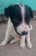 Não coloquei nomes