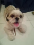 Javier