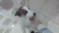 BILLY