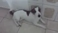 BILLY