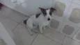 BILLY