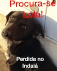 LOLA