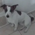 BILLY