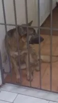 Meg