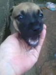 Sem nomes