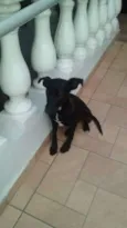 Neguinha