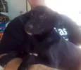 Juju