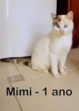 Mimi