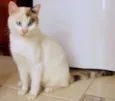 Mimi