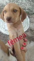 Ainda não possui