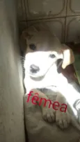 Ainda não possui