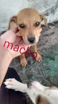 Ainda não possui