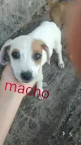 Ainda não possui