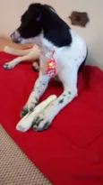 Jack